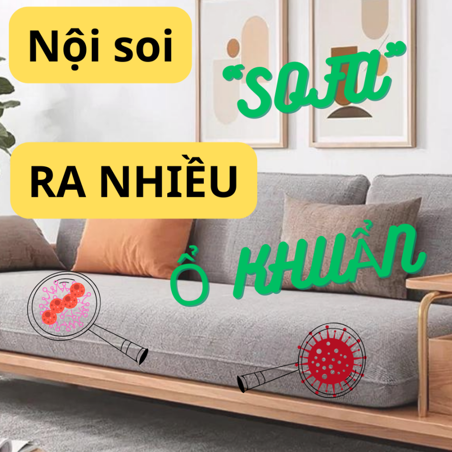 Quy Trình Giặt Ghế Sofa Chuyên Nghiệp Giúp Ghế Sạch Sâu Và Bền Lâu